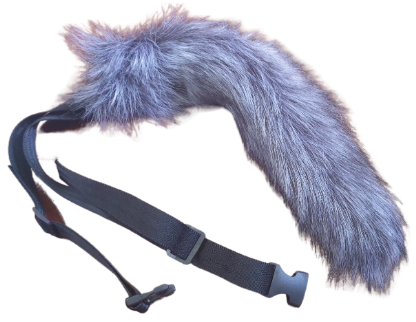 Tail on white aligned BookBrushImage-2021-2-8-14-710