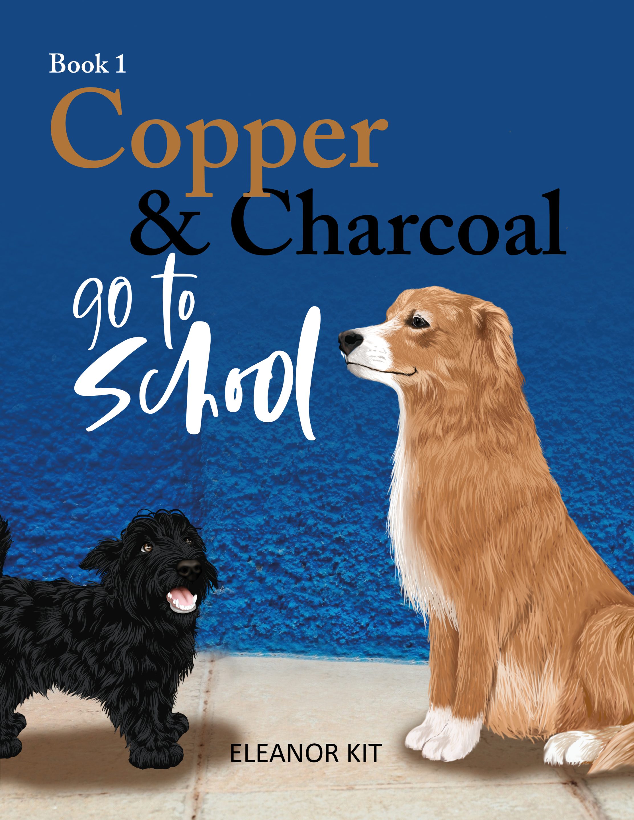 Copper & Charcoal go to School Upcoming Book