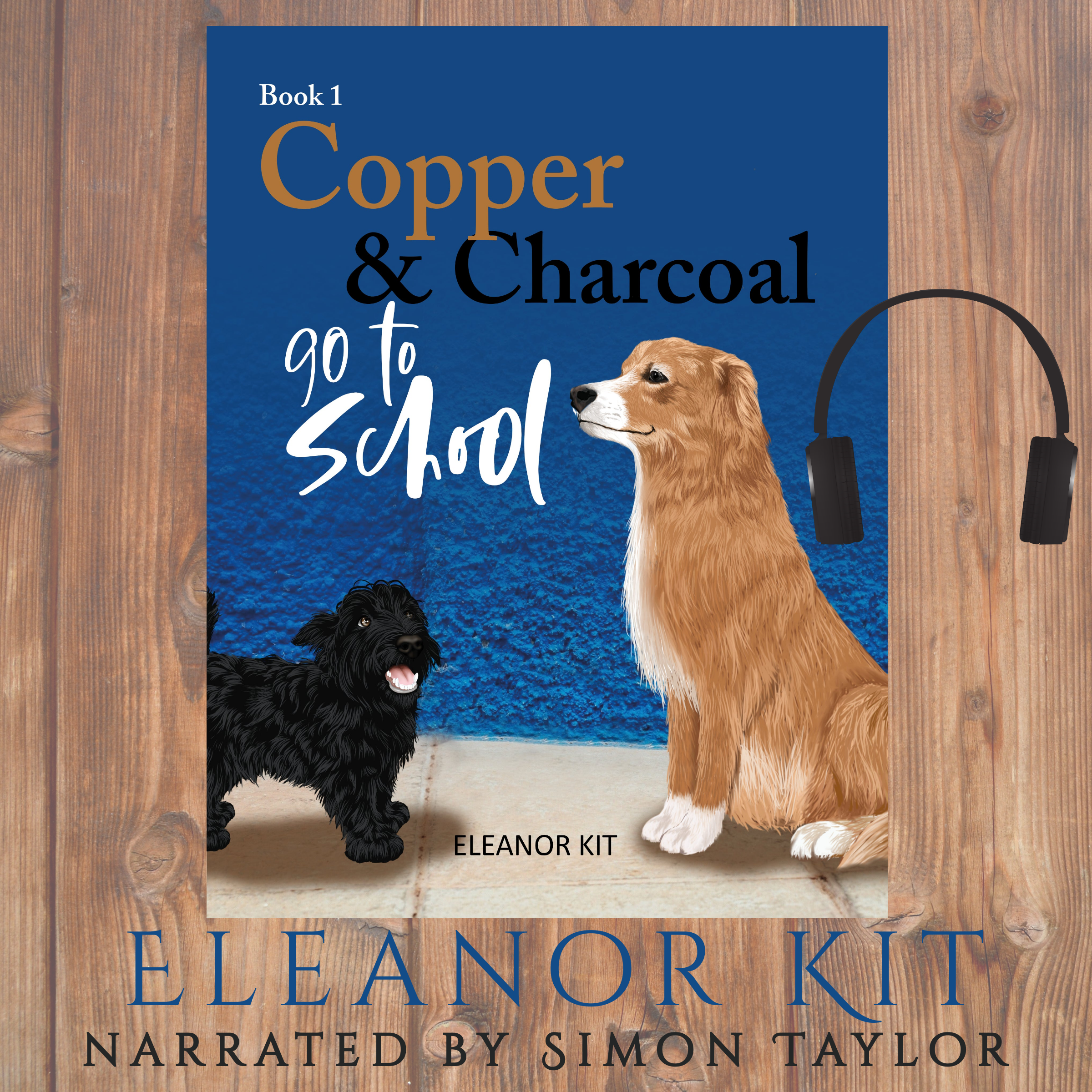 AUDIO BOOKS - Copper & Charcoal Series