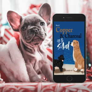 eBook - Copper & Charcoal go to School