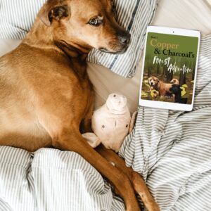 eBook - Copper & Charcoal's Forest Adventure