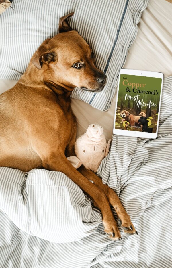 eBook - Copper & Charcoal's Forest Adventure